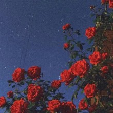 浪漫而不烂俗的高级网名（ 清冷到极致的古风名字 ）