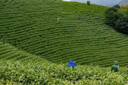 2023年2月22日是什么日子（ 2023年2月22日适合领证吗 ）