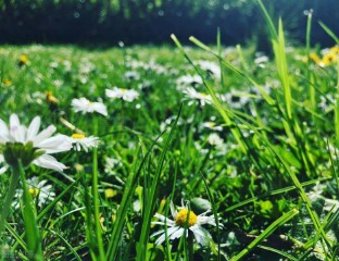 随遇而安的意思是什么解释（ 如期而至随遇而安的意思 ）