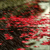 雨字头的字大多和什么有关（ 雨字旁和天气有关的字 ）