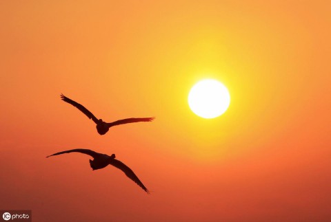 来日方长意思是什么爱情  ( 来日方长是情话吗 )