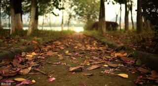 来日方长意思是什么爱情  ( 来日方长是情话吗 )