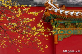 下雪的文案高级感（ 下雪的唯美短句 ）