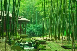 王维最有名的十首诗名句（ 王维最美的十首诗 ）