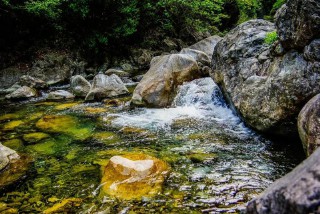 王维最有名的十首诗名句（ 王维最美的十首诗 ）