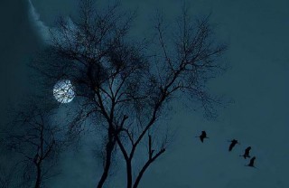 王维最有名的十首诗名句（ 王维最美的十首诗 ）