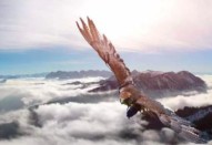 王维最有名的十首诗名句（ 王维最美的十首诗 ）