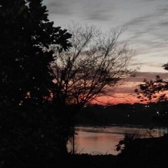 值得用一辈子的网名女（ 适合一辈子不换的网名女 ）