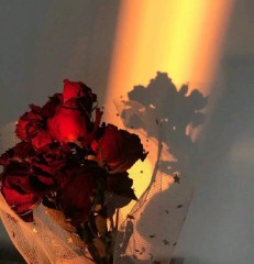 值得用一辈子的网名女（ 适合一辈子不换的网名女 ）