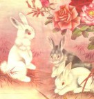 1975年属什么生肖（1975年属什么生肖配对最好 ）