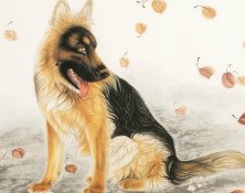 1975年属什么生肖（1975年属什么生肖配对最好 ）