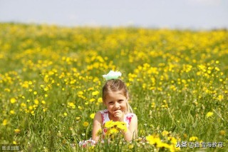 与虎谋皮拼音和翻译（ 苛捐杂税的拼音怎么写的拼音 ）