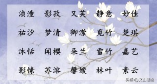 好听的女孩名字温婉大气（ 比较有诗意的女孩名字 ）