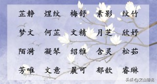 好听的女孩名字温婉大气（ 比较有诗意的女孩名字 ）