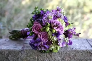  事与愿违的短句（ 事与愿违是什么意思解释 ）