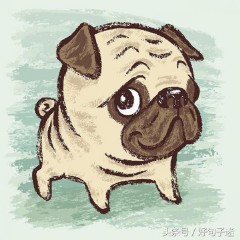 生活和现实无奈的句子（ 人生无奈的经典句子 ）