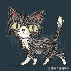 生活和现实无奈的句子（ 人生无奈的经典句子 ）