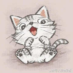 生活和现实无奈的句子（ 人生无奈的经典句子 ）