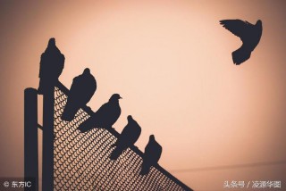 大相径庭的意思是啥（ 大相径庭的大小 ）