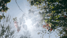 三八节祝福语漂亮简短（ 三八节祝福自己简短金句 ）