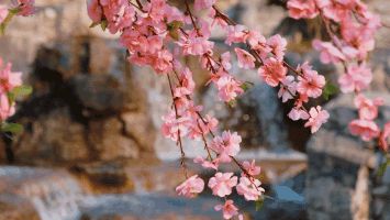 三八节祝福语漂亮简短（ 三八节祝福自己简短金句 ）