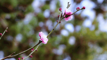 三八节祝福语漂亮简短（ 三八节祝福自己简短金句 ）