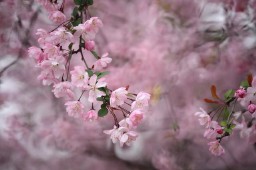 三月你好文案短句（三月的优美文案 ）