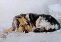 2018年属什么生肖的宝宝（ 2018年到2023年生肖 ）