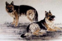 2018年属什么生肖的宝宝（ 2018年到2023年生肖 ）