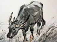 1973年属什么生肖属相（ 属鼠人一生最旺3个人 ）