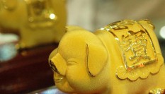 2019年属什么生肖属于什么命（ 属猪人命最苦是几月 ）