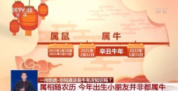 2021年属什么生肖的宝宝（ 21年出生是什么生肖 ）