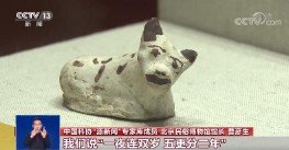 2021年属什么生肖的宝宝（ 21年出生是什么生肖 ）