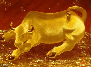 1949年属什么生肖五行属什么（ 49年出生属牛寿终 ）