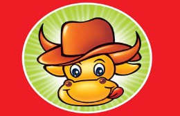 十二生肖最佳婚姻配对（ 最佳婚姻配对属相表 ）