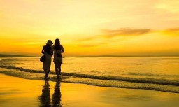 梦见自己掉牙齿是什么征兆（ 梦见自己掉了一大堆牙齿 ）