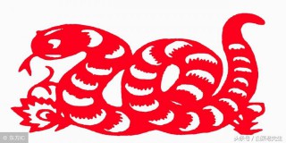 梦见12生肖预示着什么事（ 梦见自己的属相好不好 ）