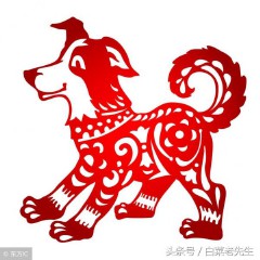 梦见12生肖预示着什么事（ 梦见自己的属相好不好 ）