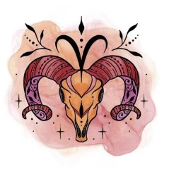 十二星座运势解析（ 十二星座专属钻石项链 ）