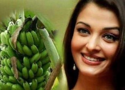 宝莱坞之极盗狂热（夺命煞星宝莱坞第一部）