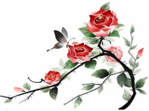 金花是什么生肖动物   ( 今期生肖开金花的动物  ) 