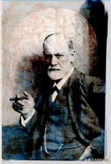 梦见蛇周公解梦破解（ 梦到两条一模一样的蛇预示着什么 ）