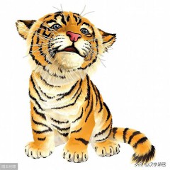 张牙舞爪是什么生肖打一肖（ 张牙舞爪动物是什么生肖 ）