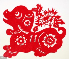 82年属什么生肖属相（ 82年属什么生肖的命运 ）