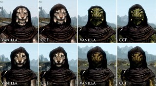 上古卷轴5萌新入坑指南（上古卷轴5重制版种族）