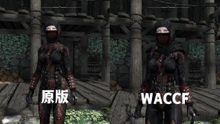 上古卷轴5萌新入坑指南（上古卷轴5重制版种族）