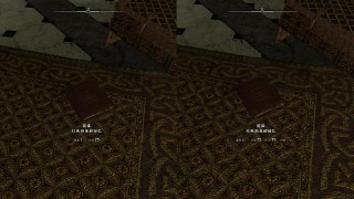 上古卷轴5萌新入坑指南（上古卷轴5重制版种族）