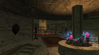 上古卷轴5萌新入坑指南（上古卷轴5重制版种族）