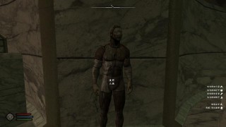 上古卷轴5萌新入坑指南（上古卷轴5重制版种族）