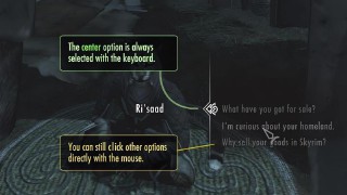 上古卷轴5萌新入坑指南（上古卷轴5重制版种族）